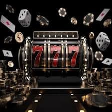 081 bet