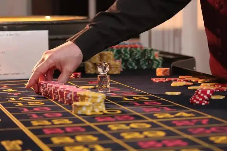 081 bet